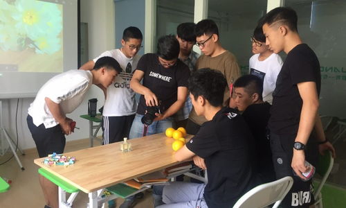 青島創藝教育與淘學培訓 教育咨詢服務體驗與深度解析